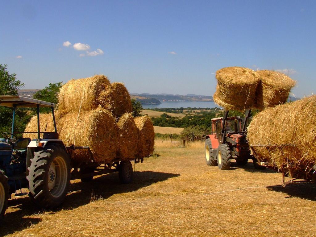 הוילה אנגוילרה סבציה Country Relais I Due Laghi מראה חיצוני תמונה